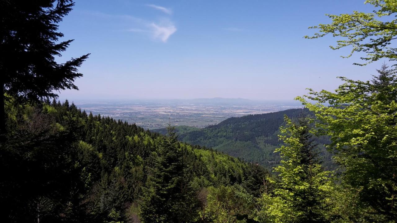 Relais & Chateaux Hotel Schwarzmatt Badenweiler Luaran gambar